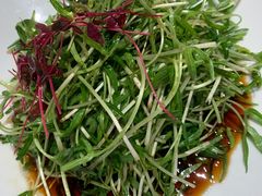 -绿杨春·淮扬宴(庐山路店)