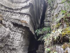 -梭布垭石林景区