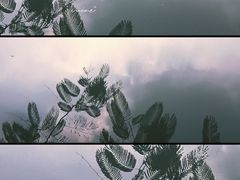 -伦教678文化街