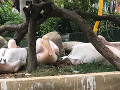 -灵玲国际马戏城