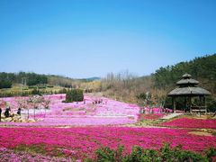 -棒棰岛宾馆景区