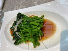 白灼芥蓝-大树餐厅(红旗街万达店)