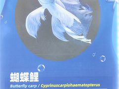 -重庆欢乐海底世界