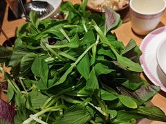 -老凯俚酸汤鱼(多彩城店)