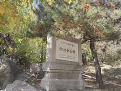 -白水寺森林公园