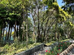 -深圳国际园林花卉博览园