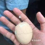 挤广州地铁到蛋碎