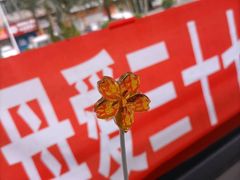 -蚝得喜海鲜(东城店)
