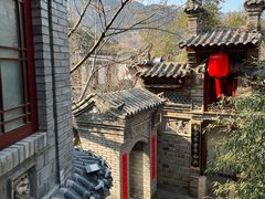 -老张烤羊(王哥庄店)