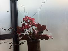 -花间一壶酒(桐荫街店)