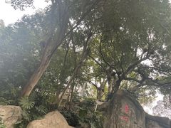 -船政文化景区-罗星塔公园