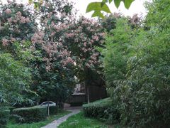 -西安石油大学(雁塔校区)