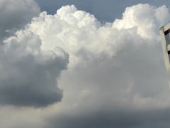 -长洲岛