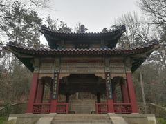-紫霞湖公园