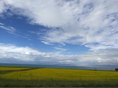 -青海湖国家重点风景名胜区