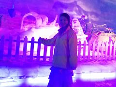 -世界之窗阿尔卑斯冰雪世界