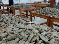 -世界恐龙谷景区