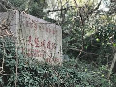 -紫金山天文台
