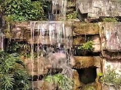 -广州神农草堂中医药博物馆