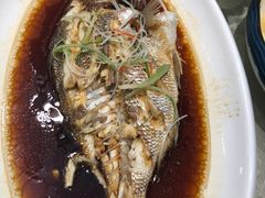 清蒸红鲷鱼-名轩海鲜酒楼(东海路店)