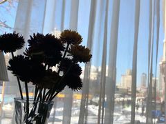 -全聚德(哈尔滨店)