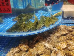 -潍城老菜馆·地标美食