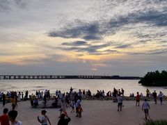 -宝安西湾红树林湿地公园