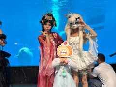 -海合安成都极地海洋公园