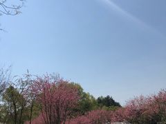 -常德桃花源景区