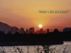 -三垟湿地