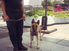 -Moka Bros 摩卡站(西单大悦城店)