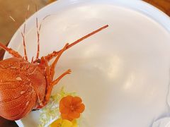 -寻味顺德·顺峰山庄(大良店)