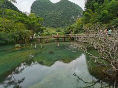 -靖西鹅泉风景区