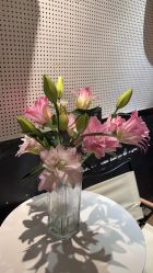 -无界瑜伽普拉提