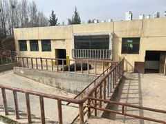 -青藏高原野生动物园