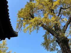 -采石矶景区