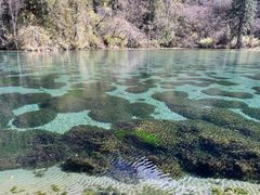 -阿坝州汶川特别旅游区