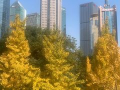 -陆家嘴中心绿地