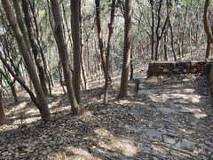 -东山风景区(洞庭东山)