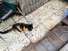 -日月光中心广场