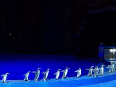 -珠海横琴长隆《卡卡虎奇遇记》