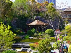 -上海吴淞炮台湾国家湿地公园