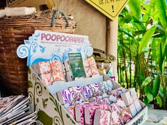 -大象粑粑造纸公园