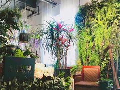 -蓝山四季西餐植物店