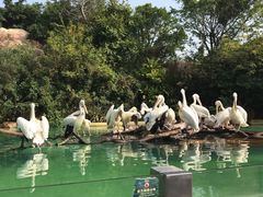 -中国移动(望京营业厅)