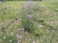 -汉长安城未央宫国家考古遗址公园