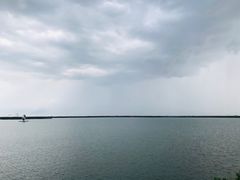 -阿尔法海鲜排档(爱琴海店)