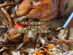 -野草莓自由市场