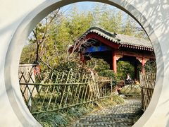 -竹子庵公园
