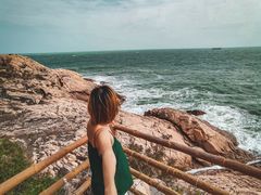 -广东惠东海龟国家级自然保护区